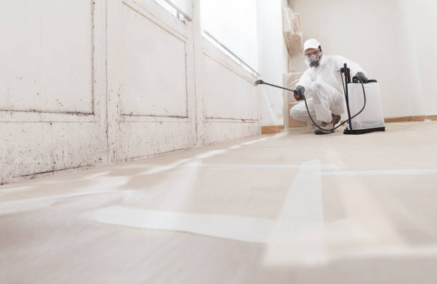 24/7 Emergency Attic Mold Remediation experts in Freehold, NJ